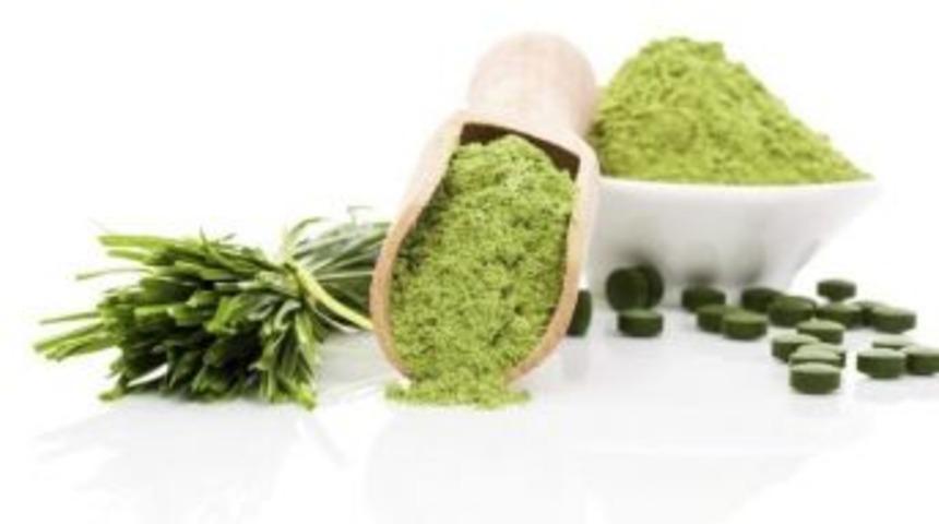 Vitamin Ve Protein Deposu Su Yosunları