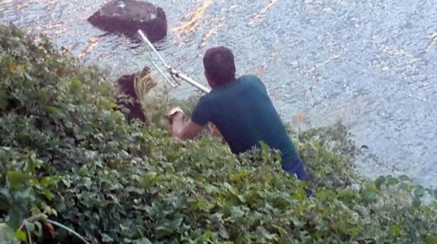 İtfaiyeden &Ccedil;alılıklarda K&ouml;pek Kurtarma Operasyonu