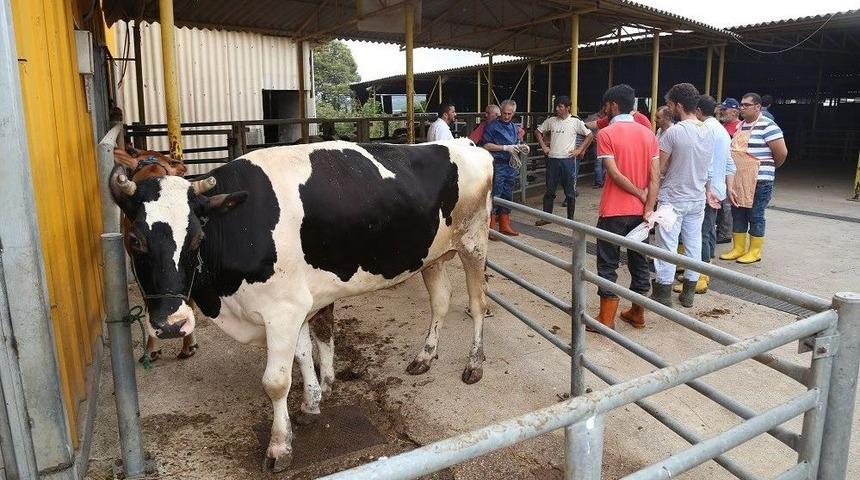 Kurban Bayramı Öncesinde,ko-mek’te Kurban Kesim Kursu