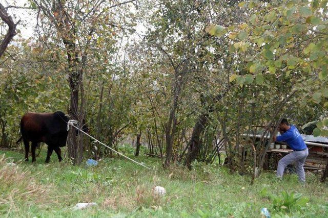 Kurban Yakalama Timi Göreve Hazır