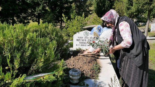 Mezarlıkları Ziyarete Gelenlere 4 Bin Adet Gül Dağıtıldı