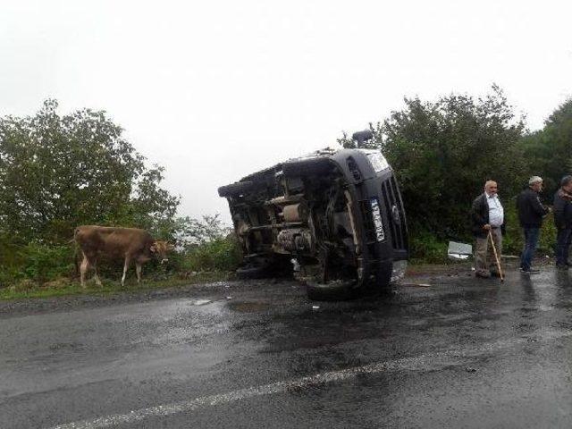 Ünye- Akkuş Yolunda Kaza: 2'si Çocuk 4 Yaralı