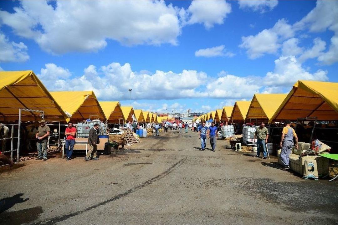 Beylikd&uuml;z&uuml;&rsquo;nde En Temiz Kurban &Ccedil;adiri Sahibi &Ouml;d&uuml;llendirildi