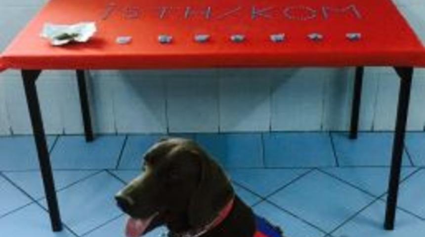 Bartın&rsquo;da Uyuşturucu Operasyonu: 2 G&ouml;zaltı