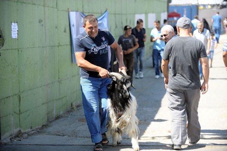 Kaçan Boğa Kısa Sürede Yakalandı G3