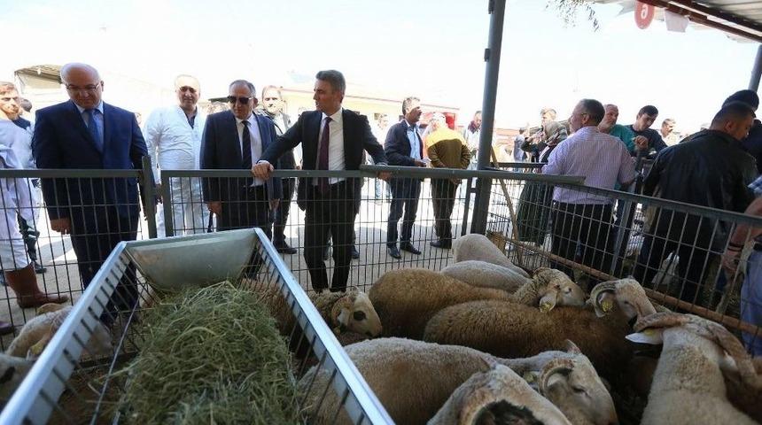 Vali Ve Belediye Başkanından Hayvan Pazarına &Ccedil;ıkarma