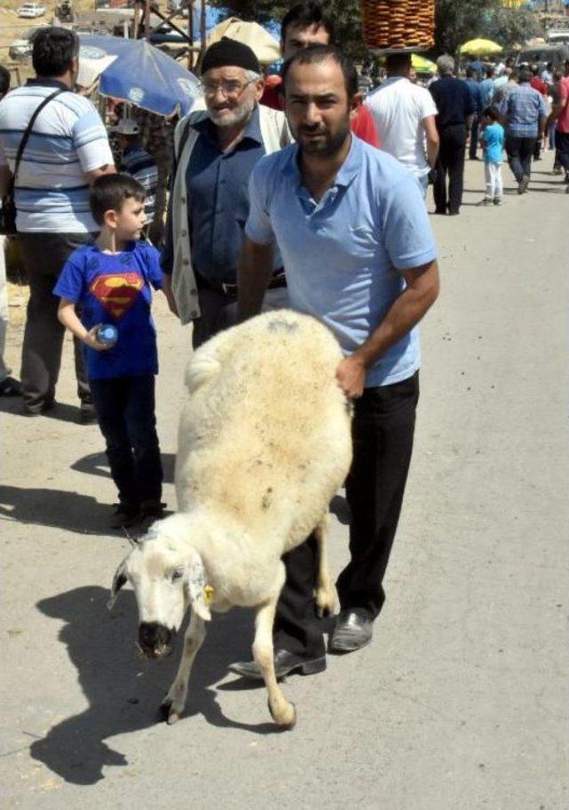 Kurban Pazarında Arife Günü Hareketliliği