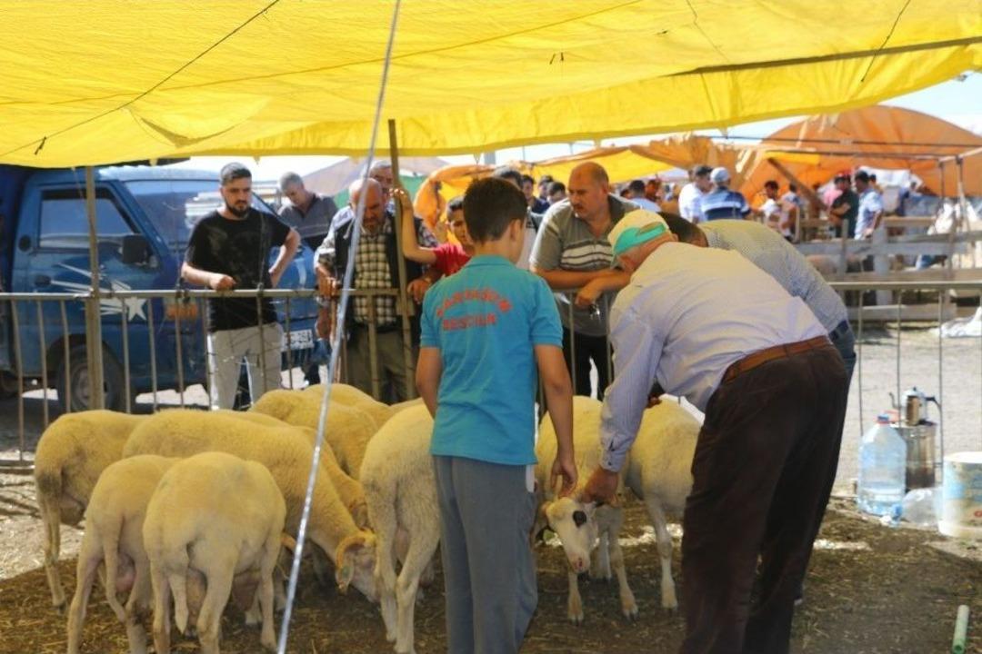 Hayvan Pazarında Son G&uuml;n Yoğunluğu