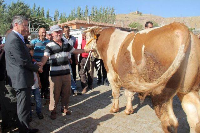 Kurban Pazarında Son Gün Yoğunluğu