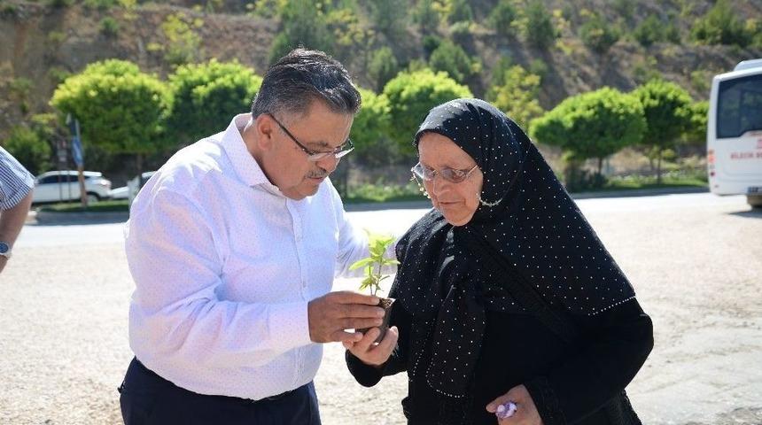 Başkan Yağcı, Mezarlığa Gelen Vatandaşlara &Ccedil;i&ccedil;ek Hediye Etti