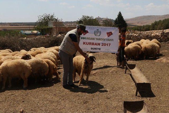 İhh Suriye’de Kurbanlık Alımlarını Tamamladı