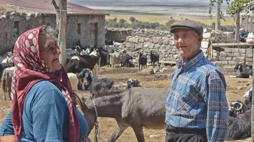 80'lik 'koreli' &Ccedil;oban