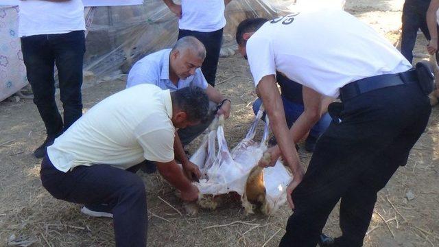 Hatay’da İhtiyaç Sahiplerine Kurban Eti