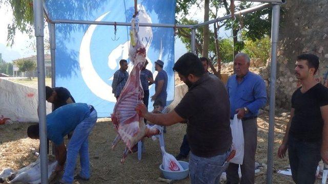 Hatay’da İhtiyaç Sahiplerine Kurban Eti