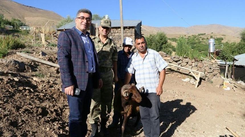 Kaymakam &Ccedil;etin&rsquo;den Şehit Ailelerine Kurbanlık Koyun Yardımı