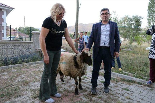 Kaymakam Çetin’den Şehit Ailelerine Kurbanlık Koyun Yardımı