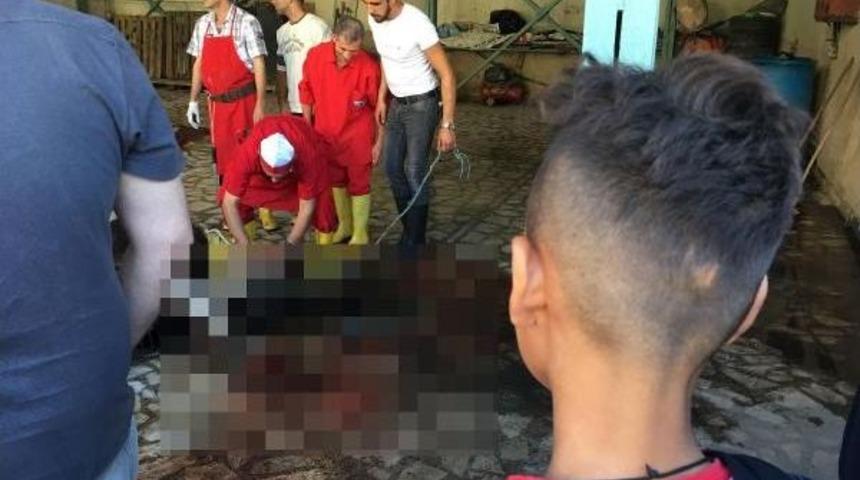 Kurbanlıkları A&ccedil;ık Alanlarda Oto Yıkamacılarda, &Ccedil;ocukların G&ouml;zleri &Ouml;n&uuml;nde  Kestiler