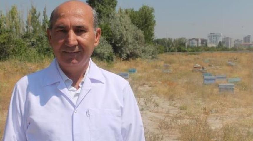 Prof.dr. Akyol: Yanlış Ila&ccedil; Kullanımı Bal Ihracatını Etkiliyor