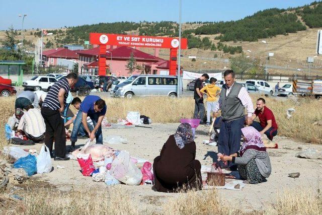 Yozgat’ta 48 Acemi Kasap Hastanelik Oldu