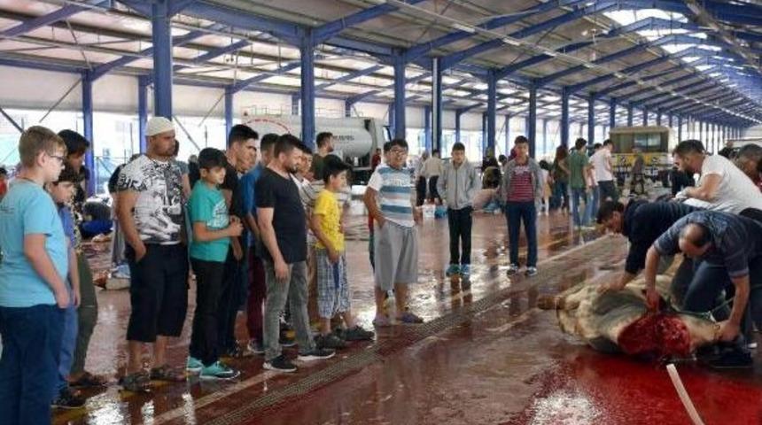 &Ccedil;ocukların G&ouml;z&uuml; &Ouml;n&uuml;nde Kurban Kesimi