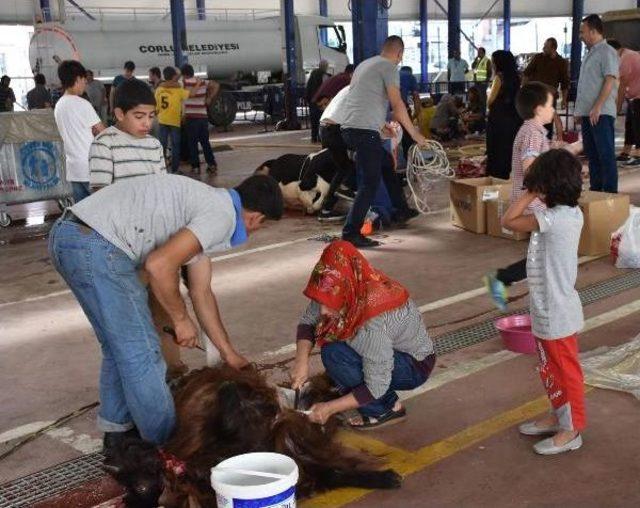 Çocukların Gözü Önünde Kurban Kesimi