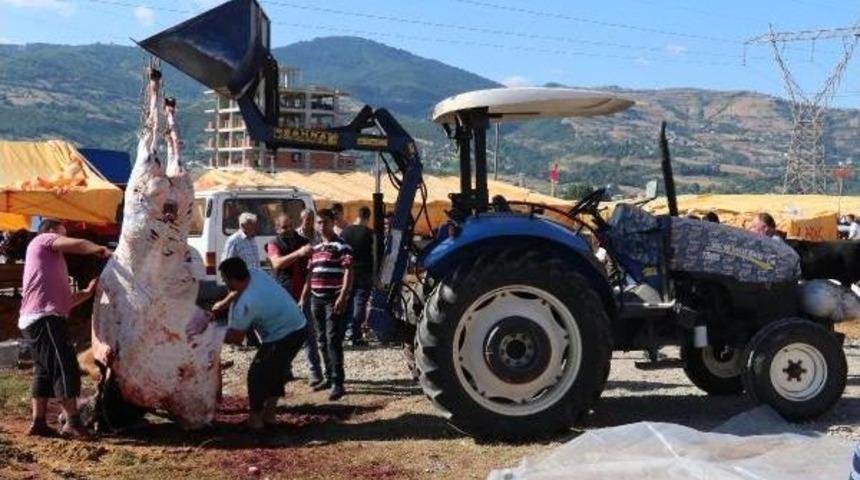 Samsun'da Kurban Manzaraları