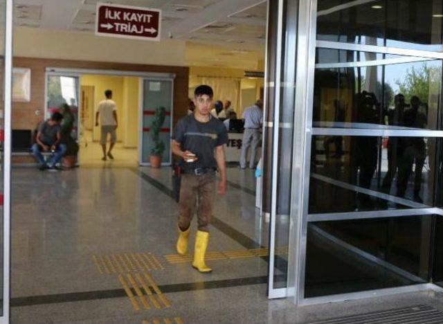 Adıyaman da 85 Acemi Kasap Yaralandı 1