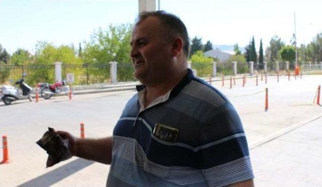 Adıyaman da 85 Acemi Kasap Yaralandı 2