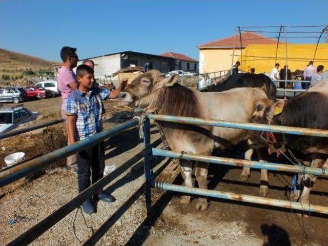 Yozgat’Ta Acemi Kasapların Bayram Mesaisi