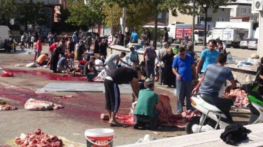 Bursa'da Acemi Kasaplar Hastanelere Akın Etti (2)