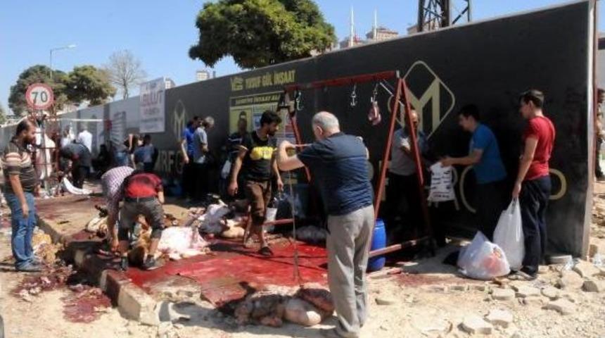 Kurban Kesmek I&ccedil;in A&ccedil;ık Alanları Se&ccedil;tiler