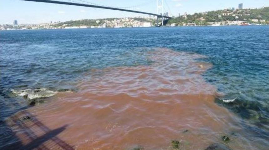 İstanbul Boğazı'na Yine Kurban Kanı Aktı