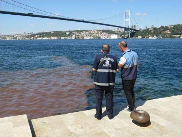 İstanbul Boğazı'na Yine Kurban Kanı Aktı