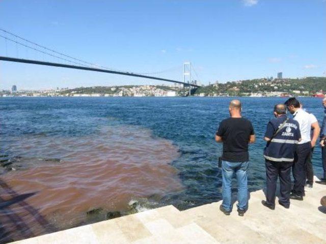 İstanbul Boğazı'na Yine Kurban Kanı Aktı