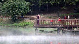 Gölcük'te Orman Içinde Yeni Piknik Yeri
