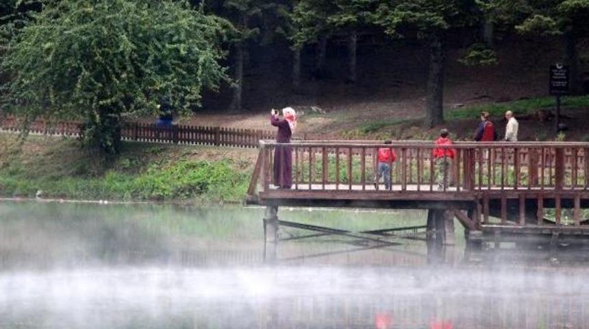 Gölcük'te Orman Içinde Yeni Piknik Yeri
