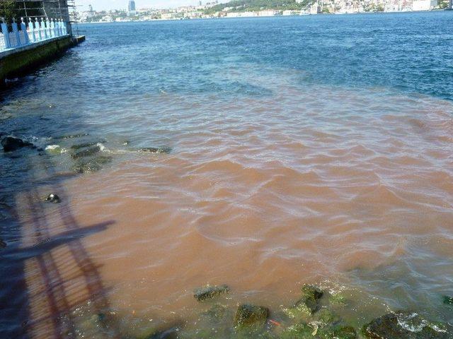 İstanbul Boğazı Kana Büründü