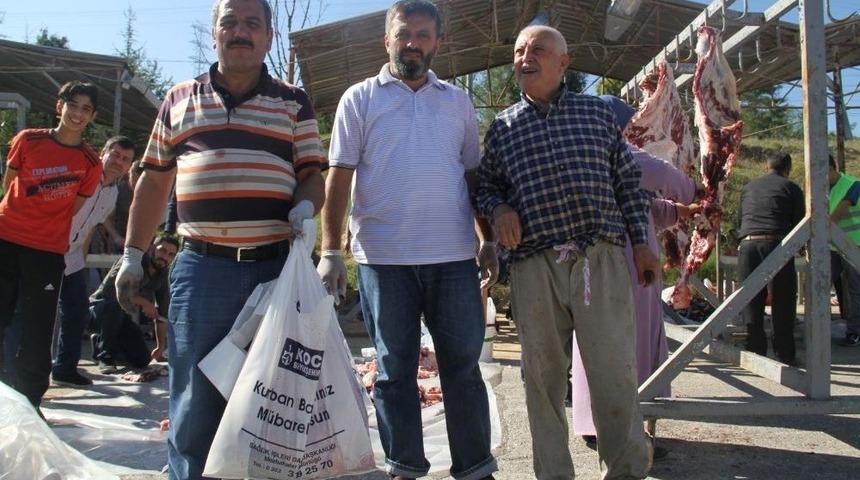 B&uuml;y&uuml;kşehir Mezbahalarında Kesim Yapıldı