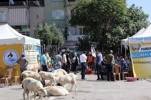 Denizli’de Acemi Kasaplar Kurban Yerine Kendini Kesti