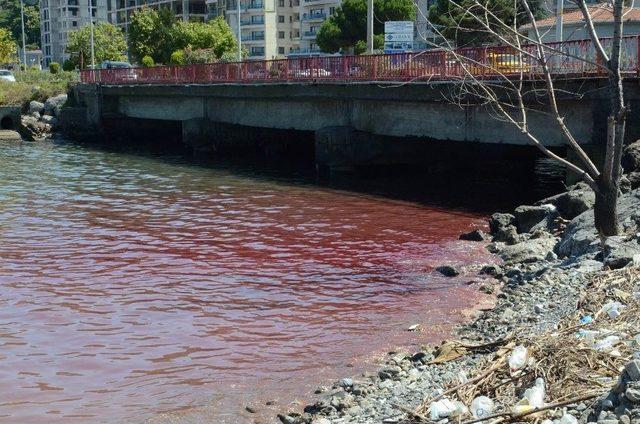 Zonguldak’ta Acemi Kasaplar Hastaneye Akın Etti