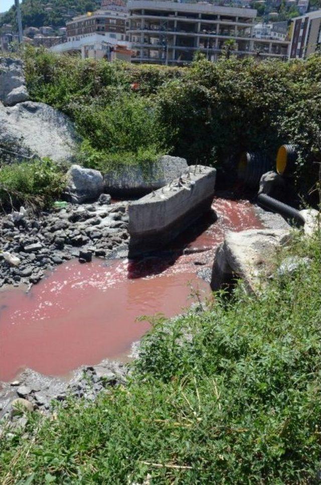 Zonguldak’ta Acemi Kasaplar Hastaneye Akın Etti