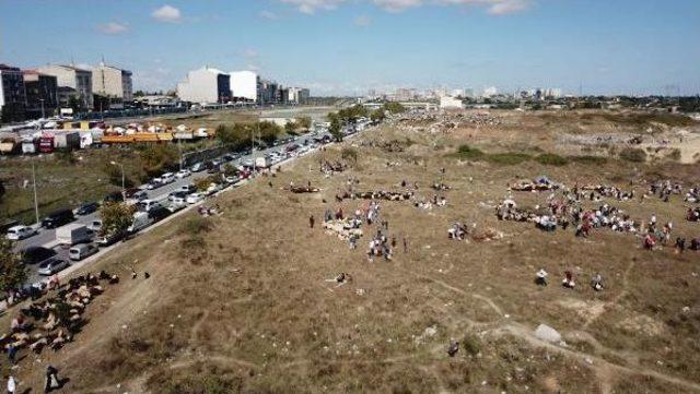 - İstanbul'da Kaçak Kurban Kesimleri