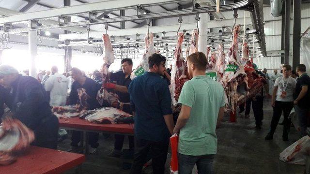 Güngörenli Vatandaşlar Kurbanlıklarını Belediyenin Tesisinde Kesti 1