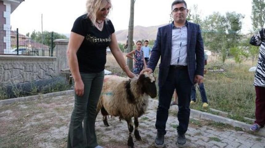 Varto Kaymakamı'ndan Şehit Ailelerine Kurbanlık Ko&ccedil;