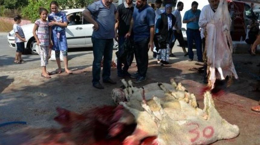 Mersin'de Kesim Yerleri Dolup Taştı