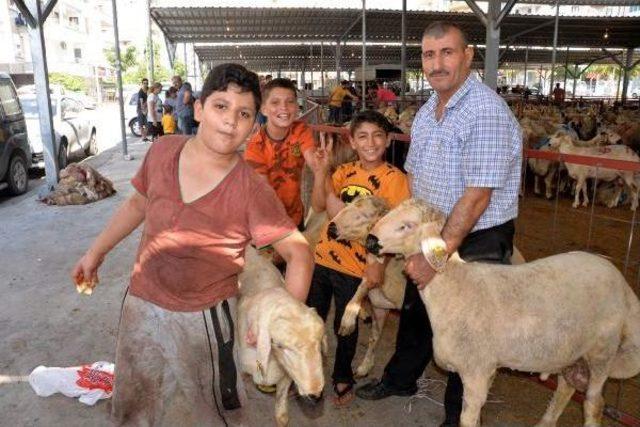 Mersin'de Kesim Yerleri Dolup Taştı