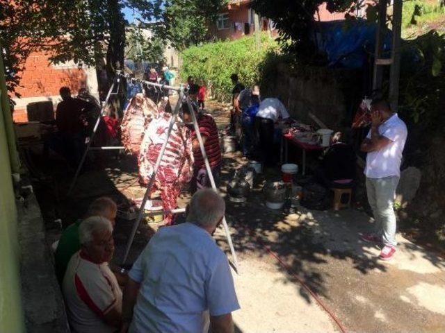 Zonguldak'ta Denizin Rengi Kırmızıya Döndü