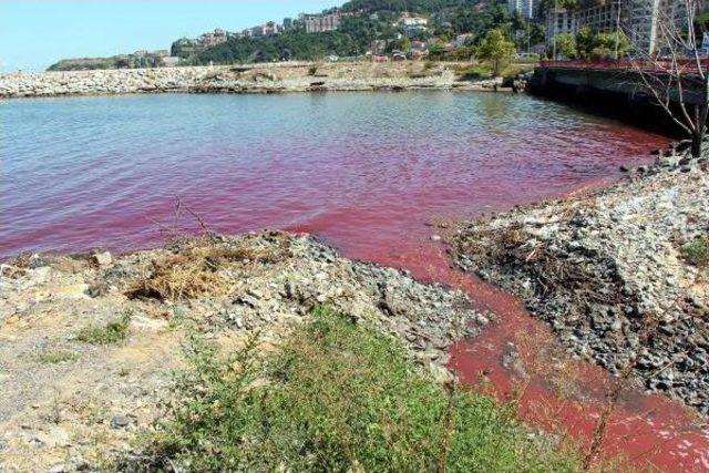 Zonguldak'ta Denizin Rengi Kırmızıya Döndü