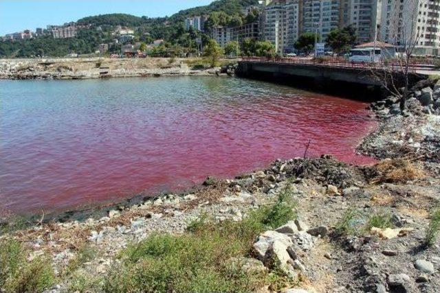 Zonguldak'ta Denizin Rengi Kırmızıya Döndü