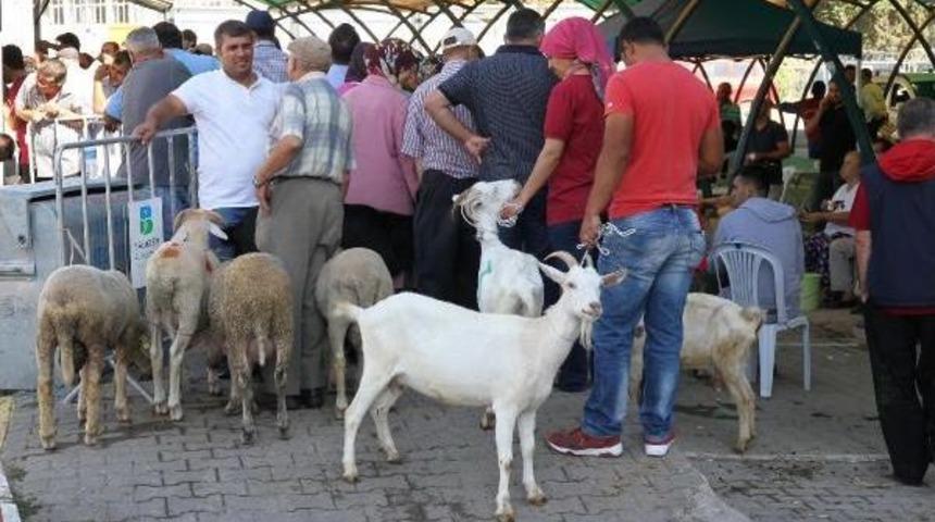 Balıkesirliler Mobil Kesimhaneleri Tercih Etti